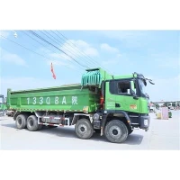 Trak Dump Heavy Rigid Terpakai